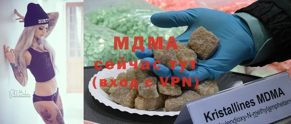 PSILOCYBIN Алзамай
