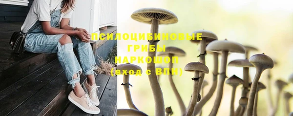стафф Алексеевка