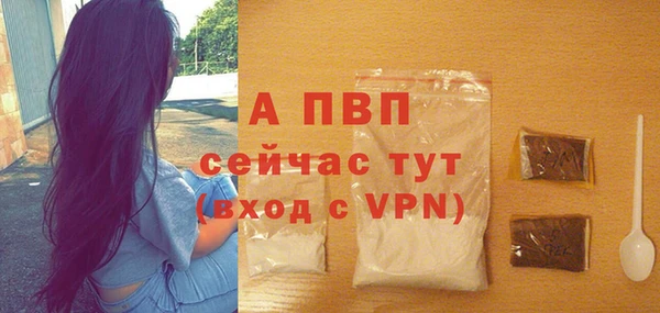 ПСИЛОЦИБИНОВЫЕ ГРИБЫ Белая Холуница