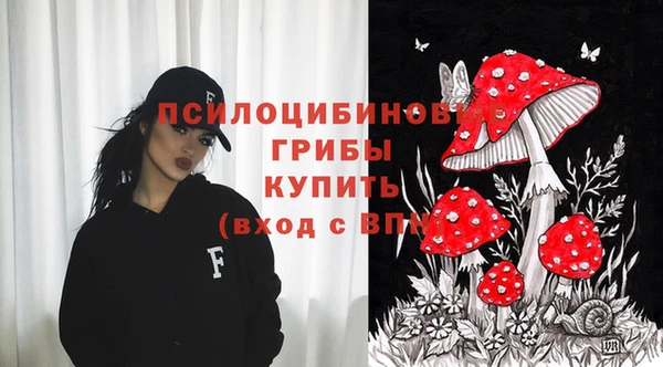 PSILOCYBIN Алзамай