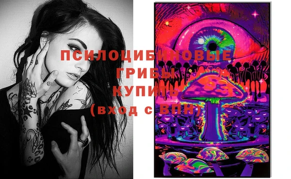 стафф Алексеевка